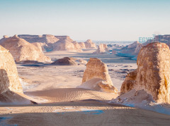 Baharaia Oasis -  Cairo